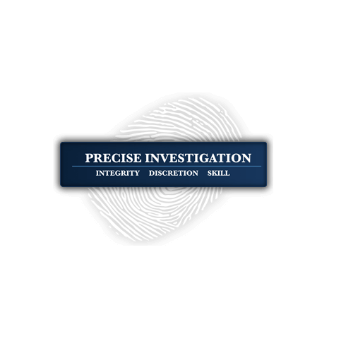 Company Logo For Precise Investigation Adelaide'