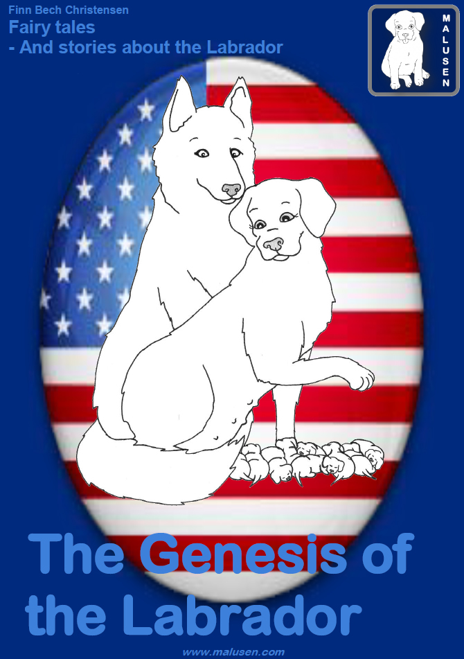 The Genesis of the Labrador