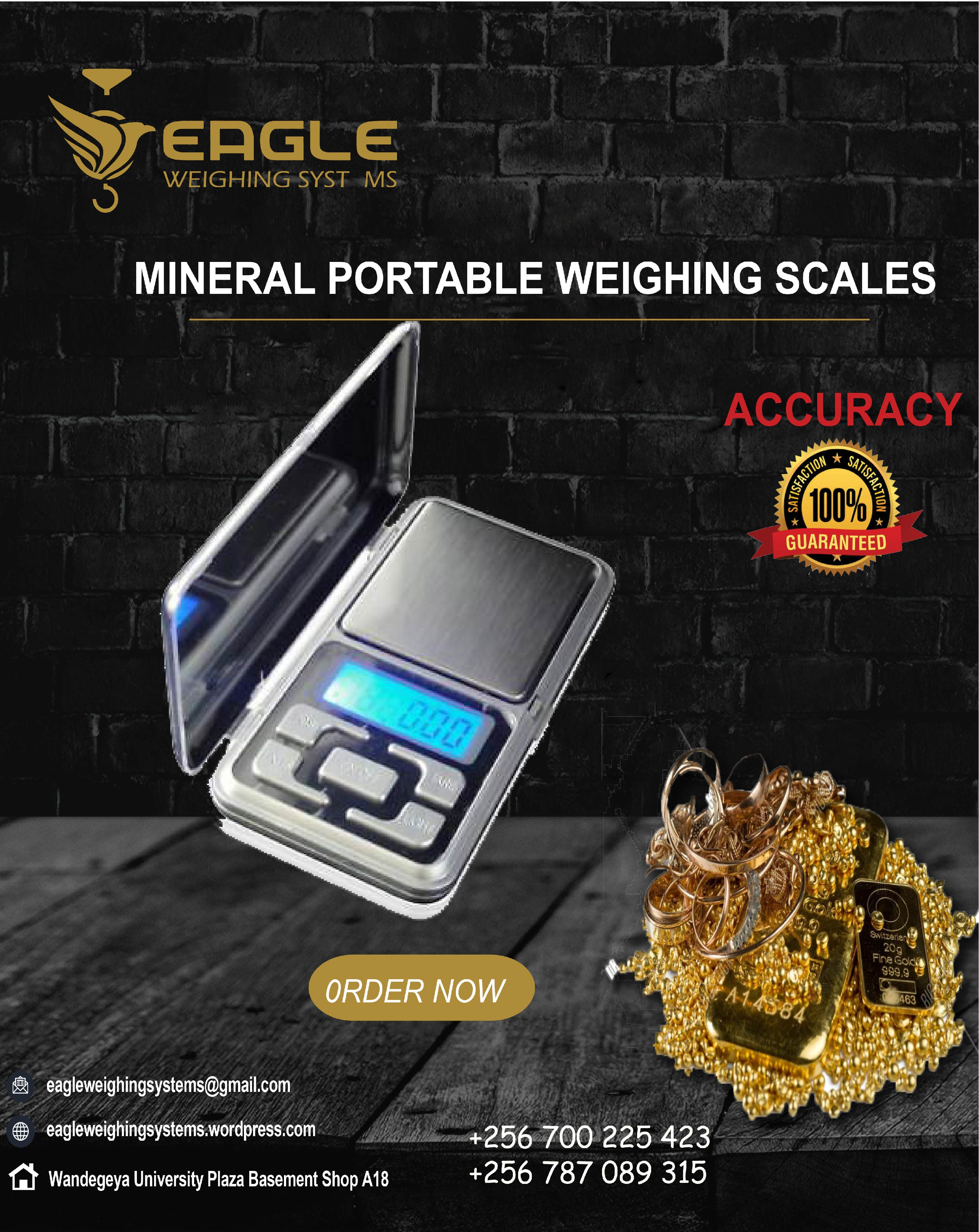 Mini Scale Portable 300g'