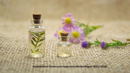 Encapsulated Flavors and Fragrances Market'