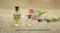 Encapsulated Flavors and Fragrances Market