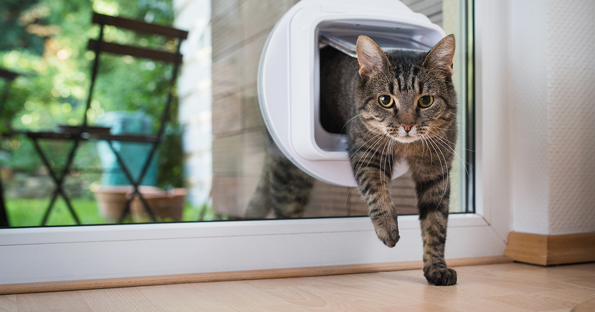 Smart Pet Technology Market
