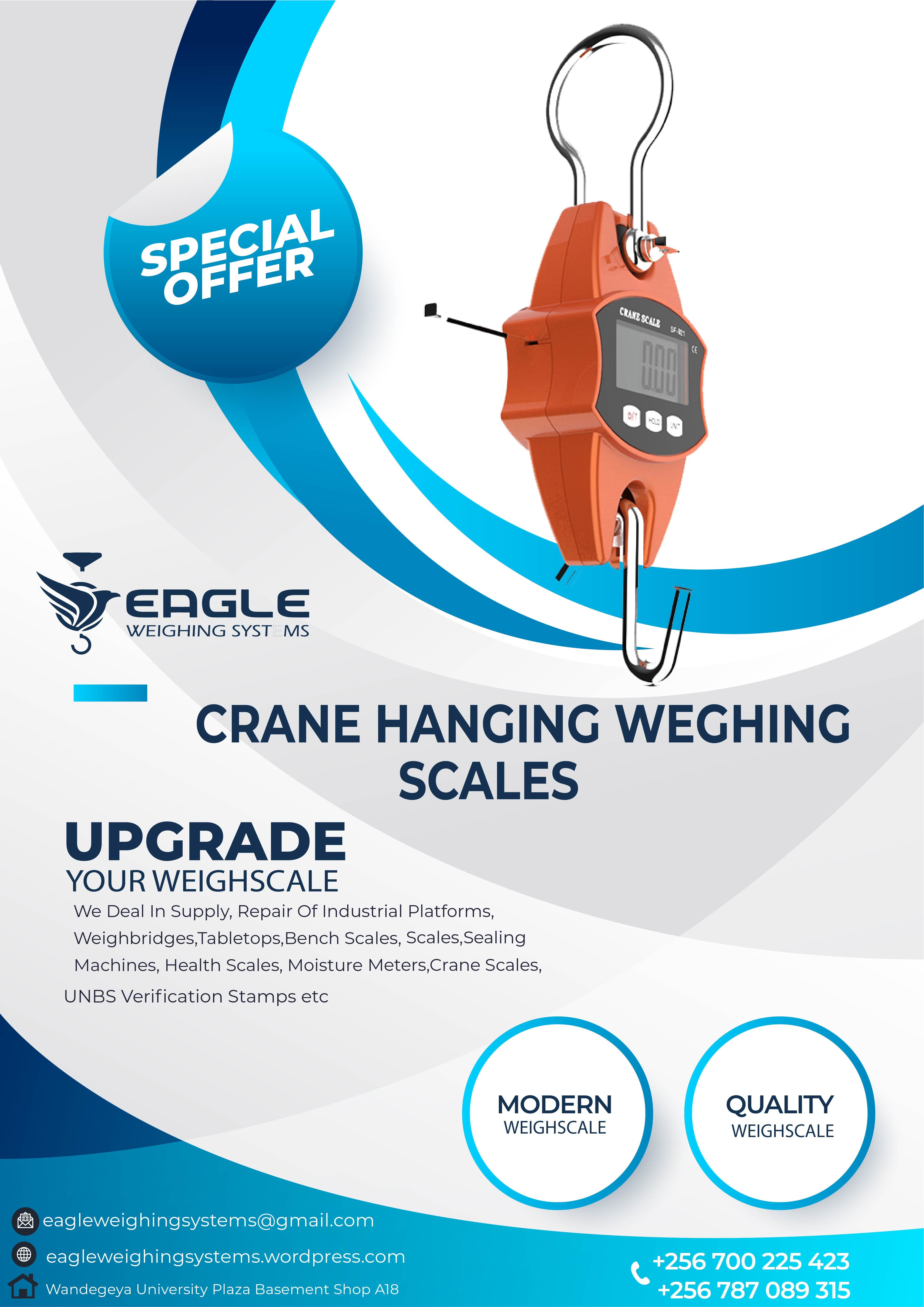 Digital Hanging Scale,50kg Capacity'