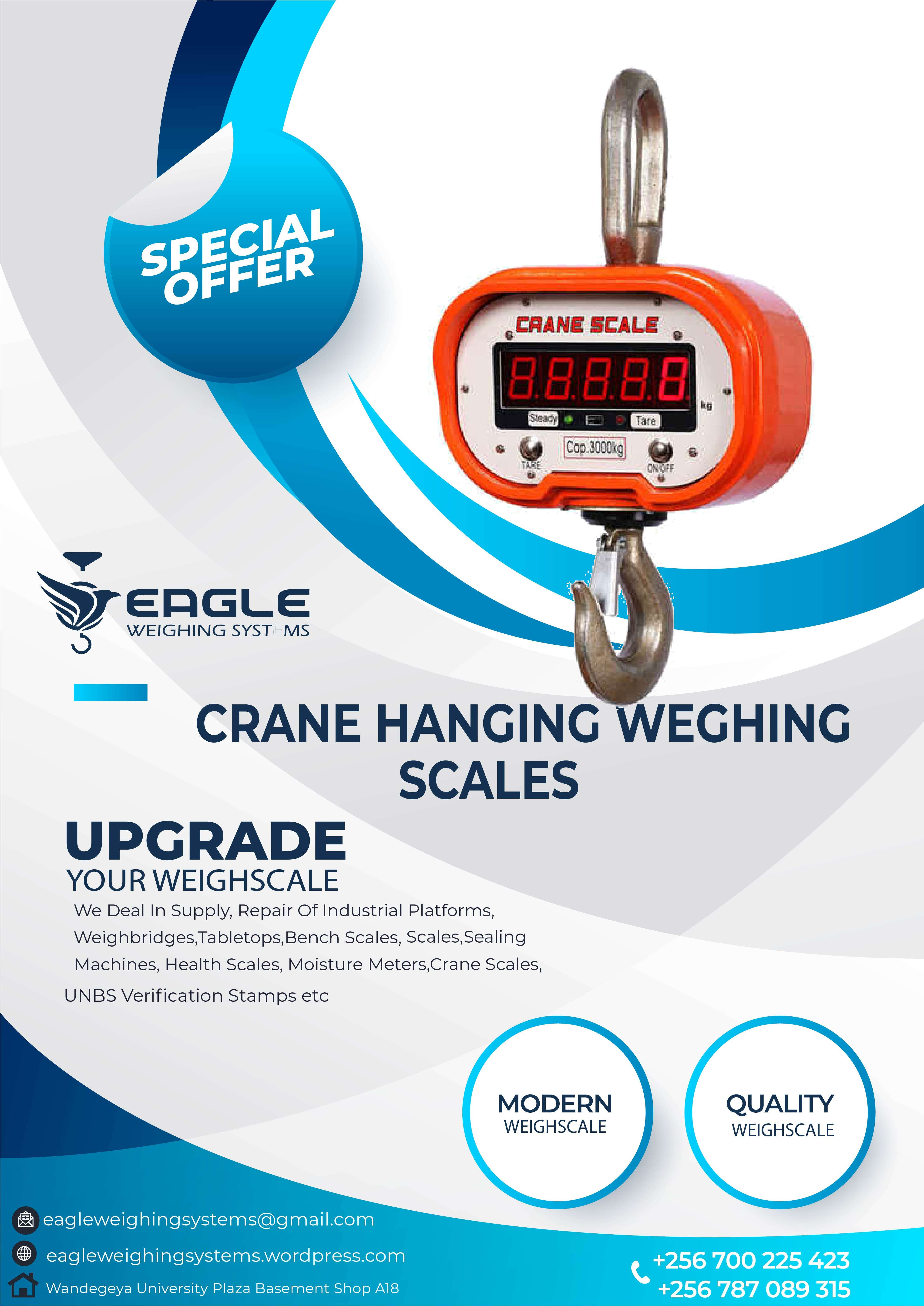 High Precision Hanging Digital Scale'