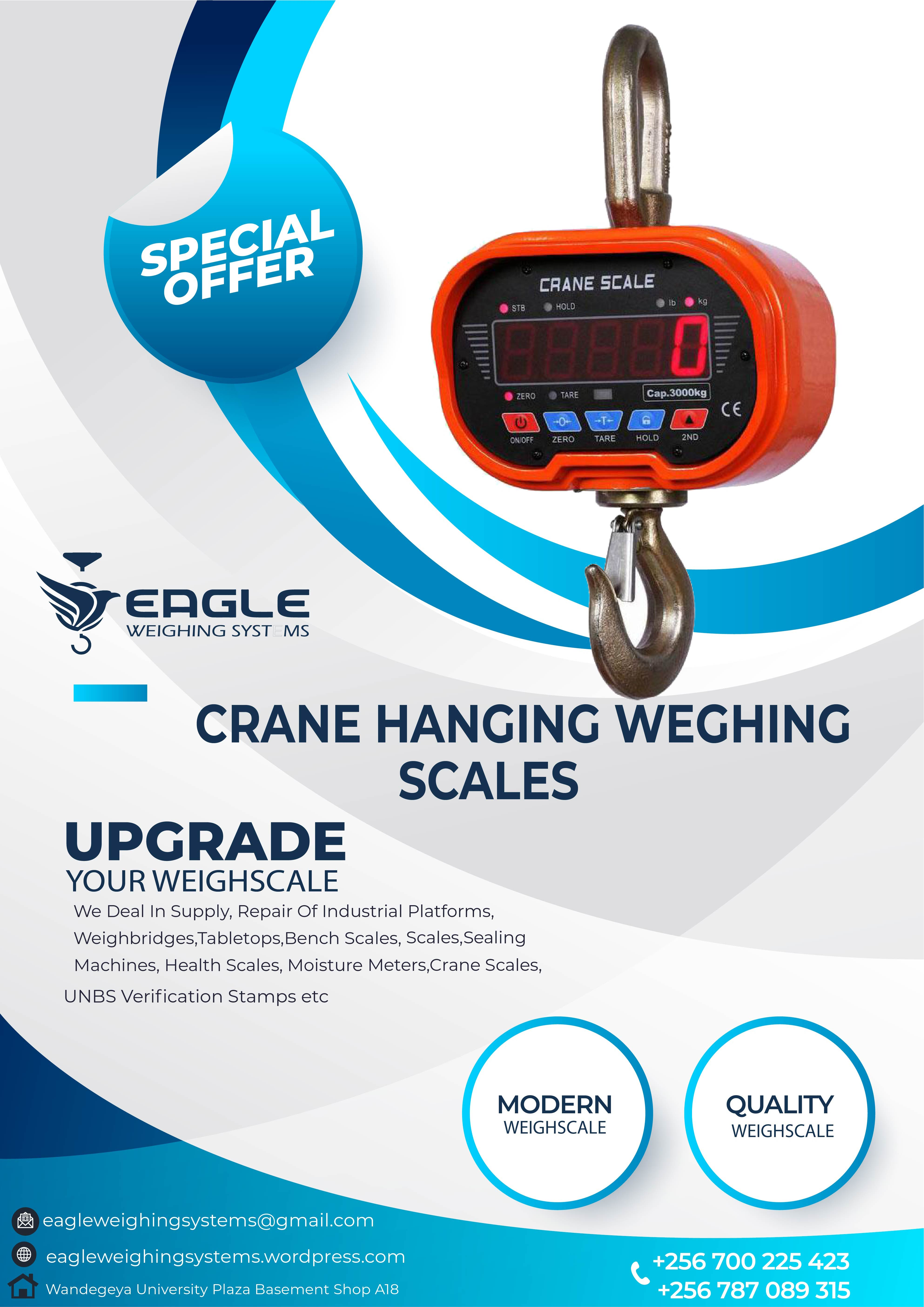 High precision Hanging weighing balance'