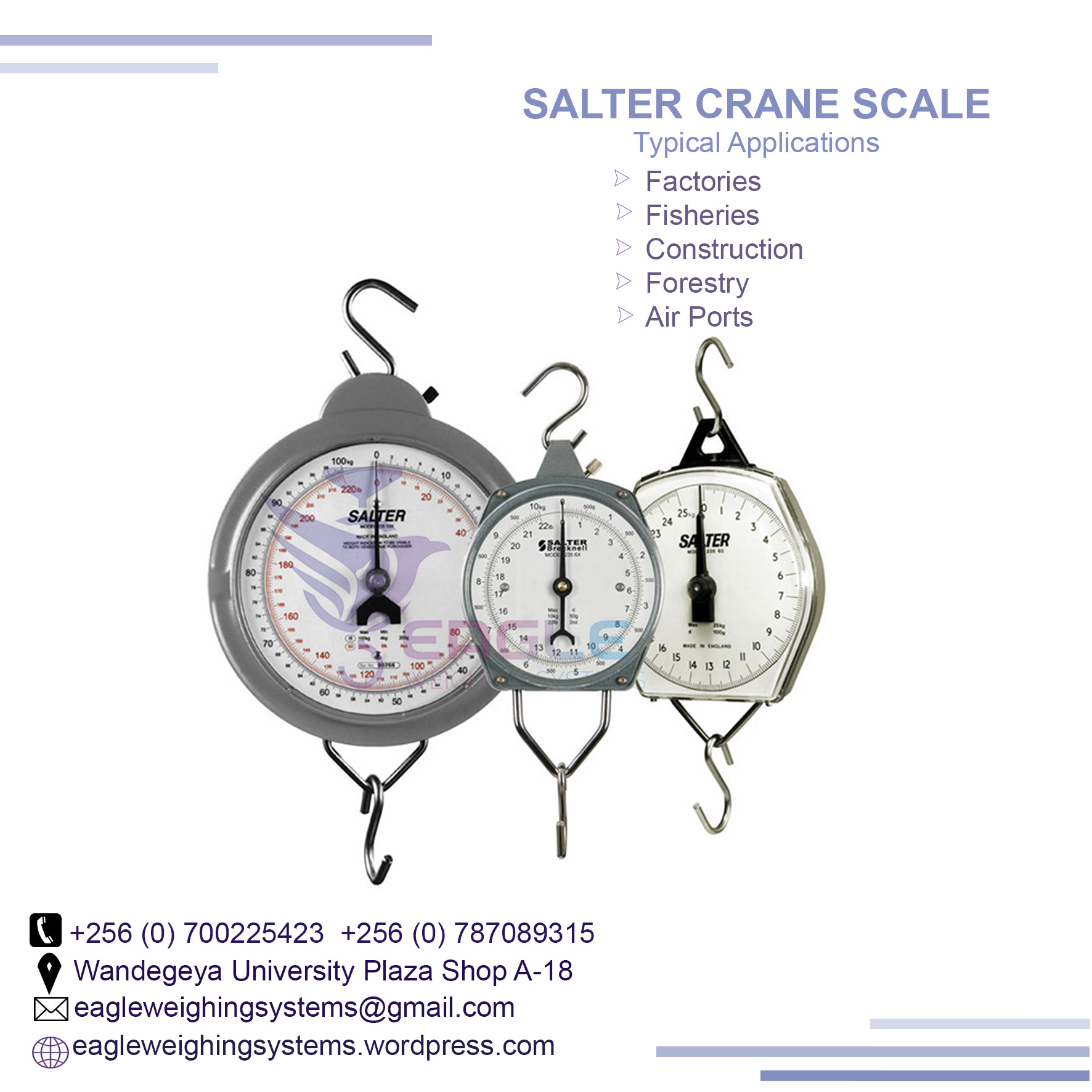 300kg mechanical hand weighing scales'