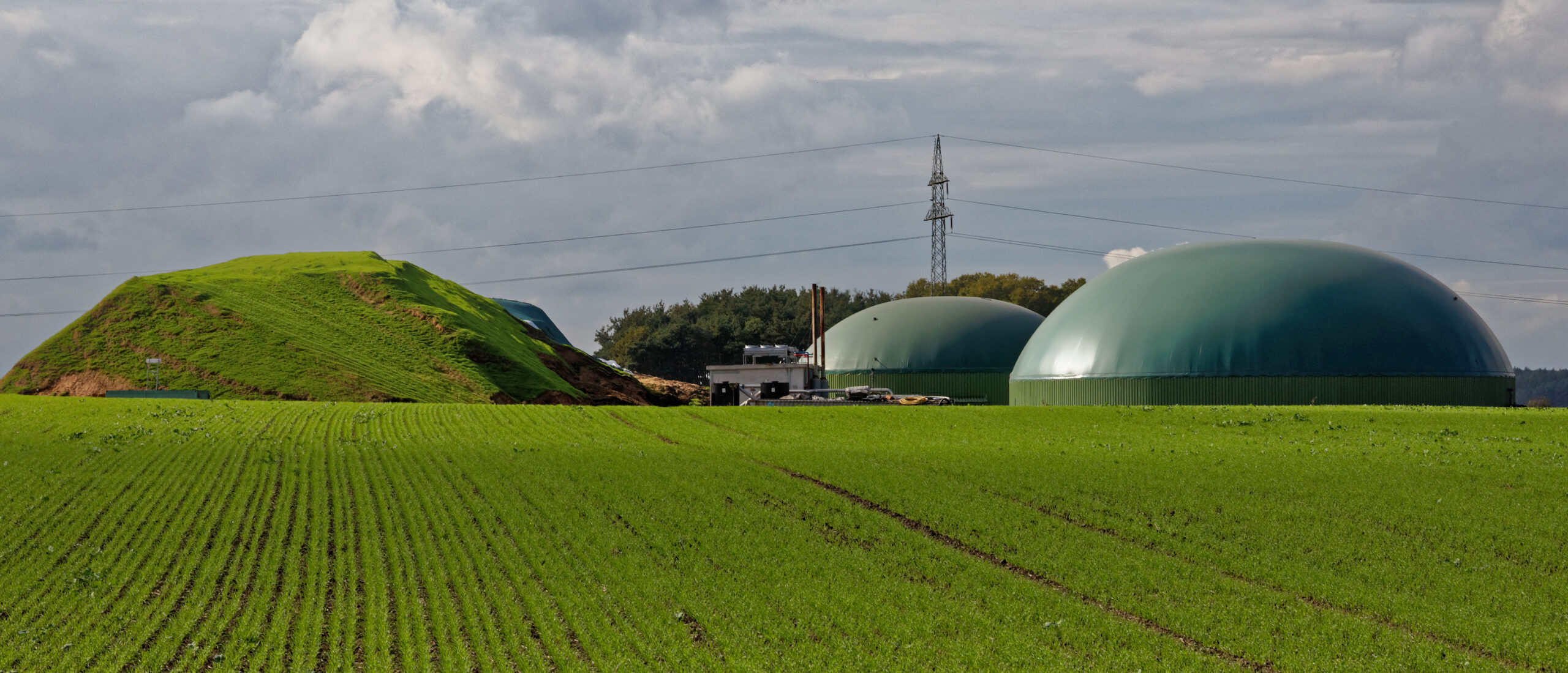 Biogas Market