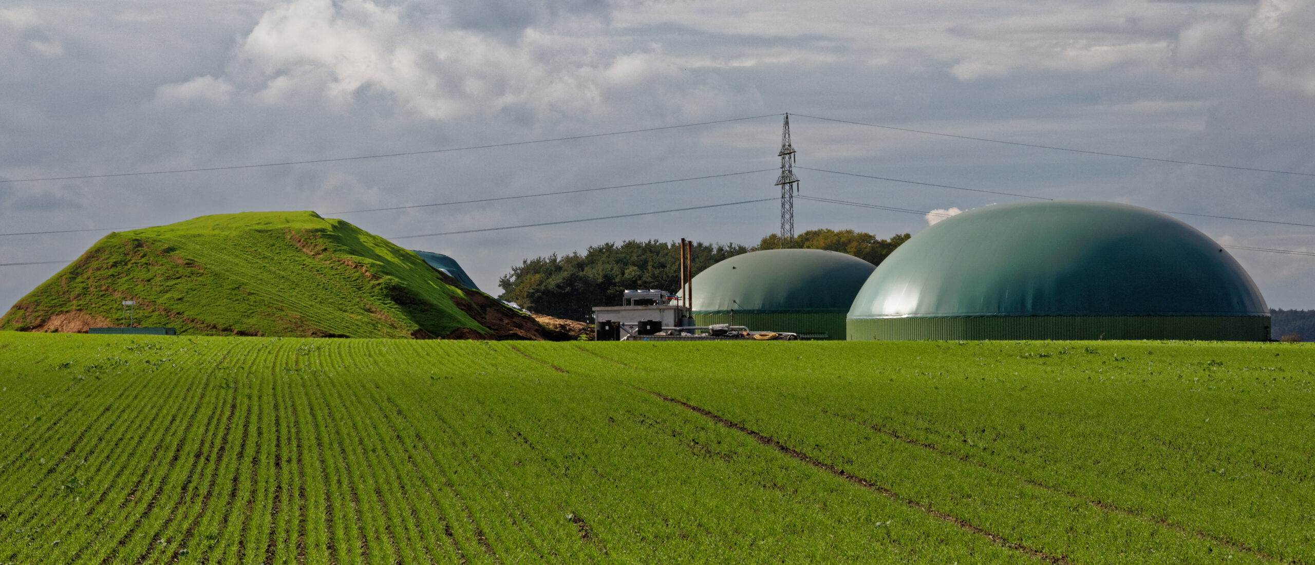 Biogas Market'