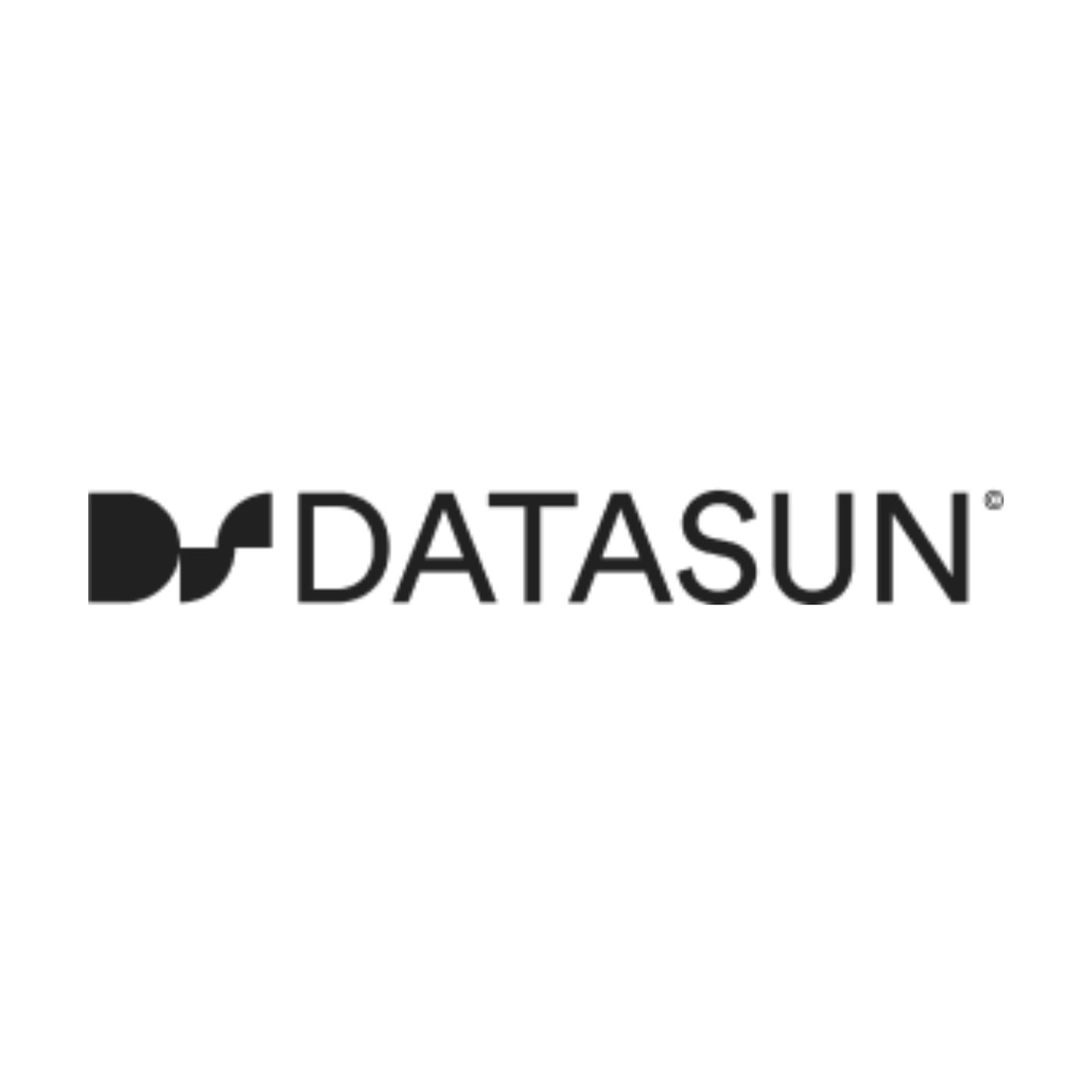 Company Logo For DataSun'