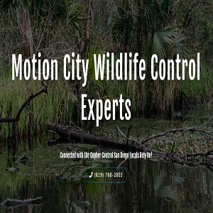 Company Logo For Motion City Wildlife Control Experts'