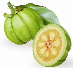 Garcinia Cambogia Select'
