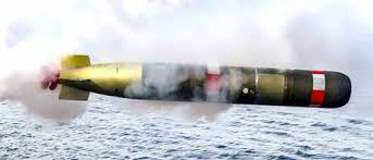 Self Guided Torpedo Market