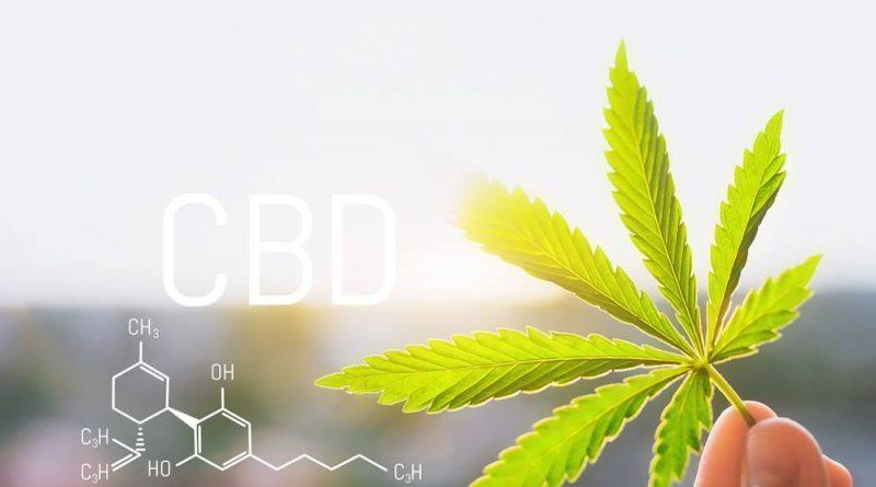 CBD Wellness Products Market'