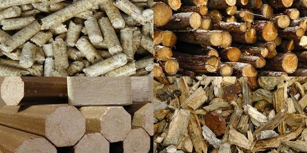 Biomass Fuel Market'