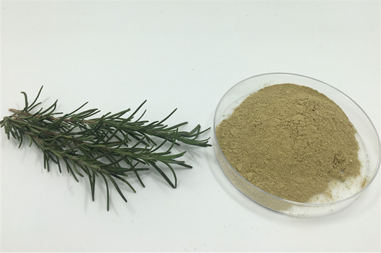 Rosemary Extract Market'