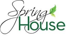 Spring House Lithia Springs'