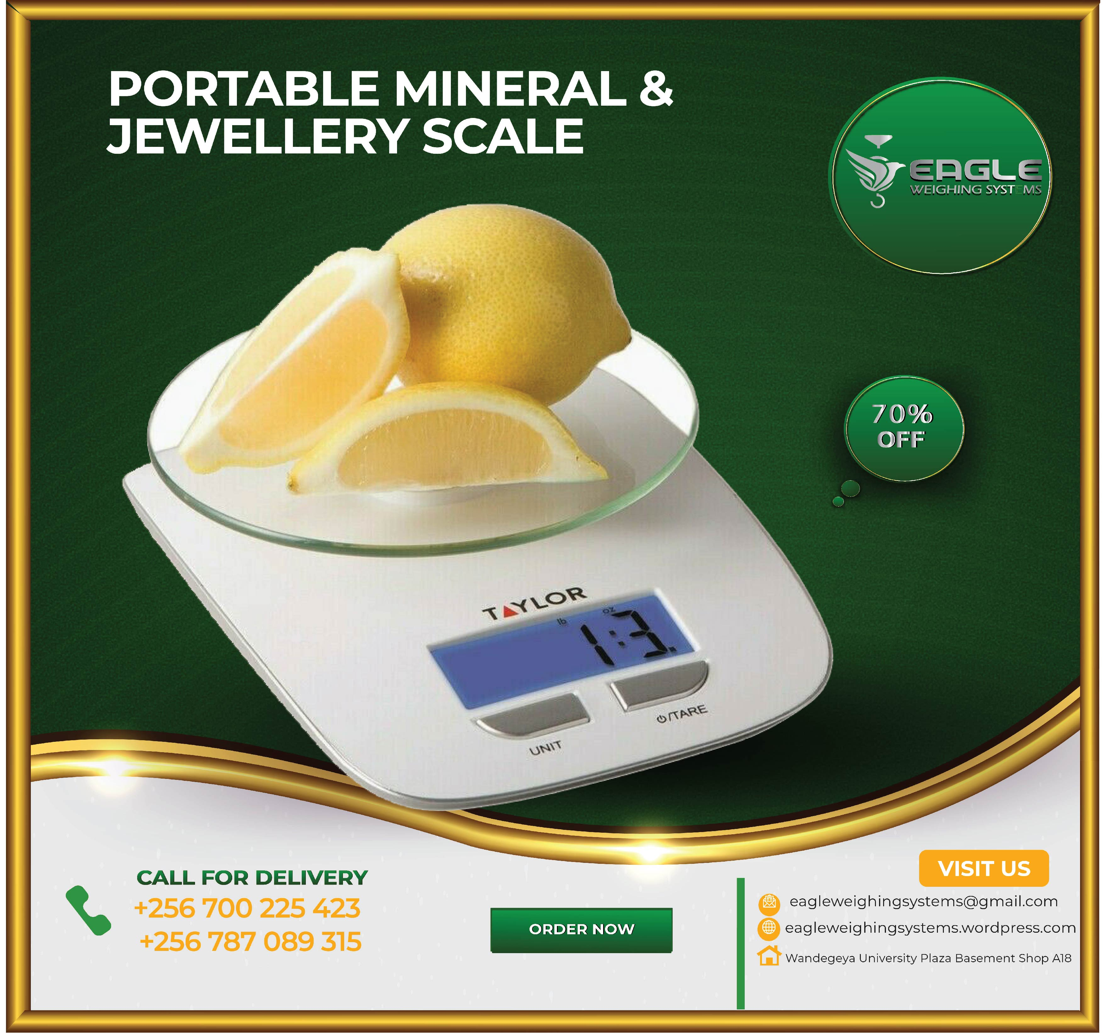 Multi-function Stainless Steel Digital Portable Scale'