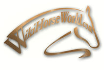 Your One Stop Site For All Things Horses.'