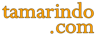 Company Logo For Tres Bonitas-Tamarindo Vacation House'