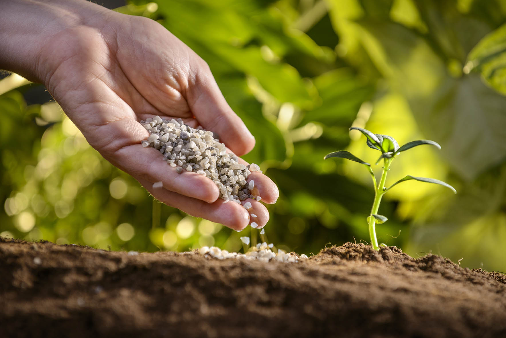 Agricultural Secondary Nutrients Market'