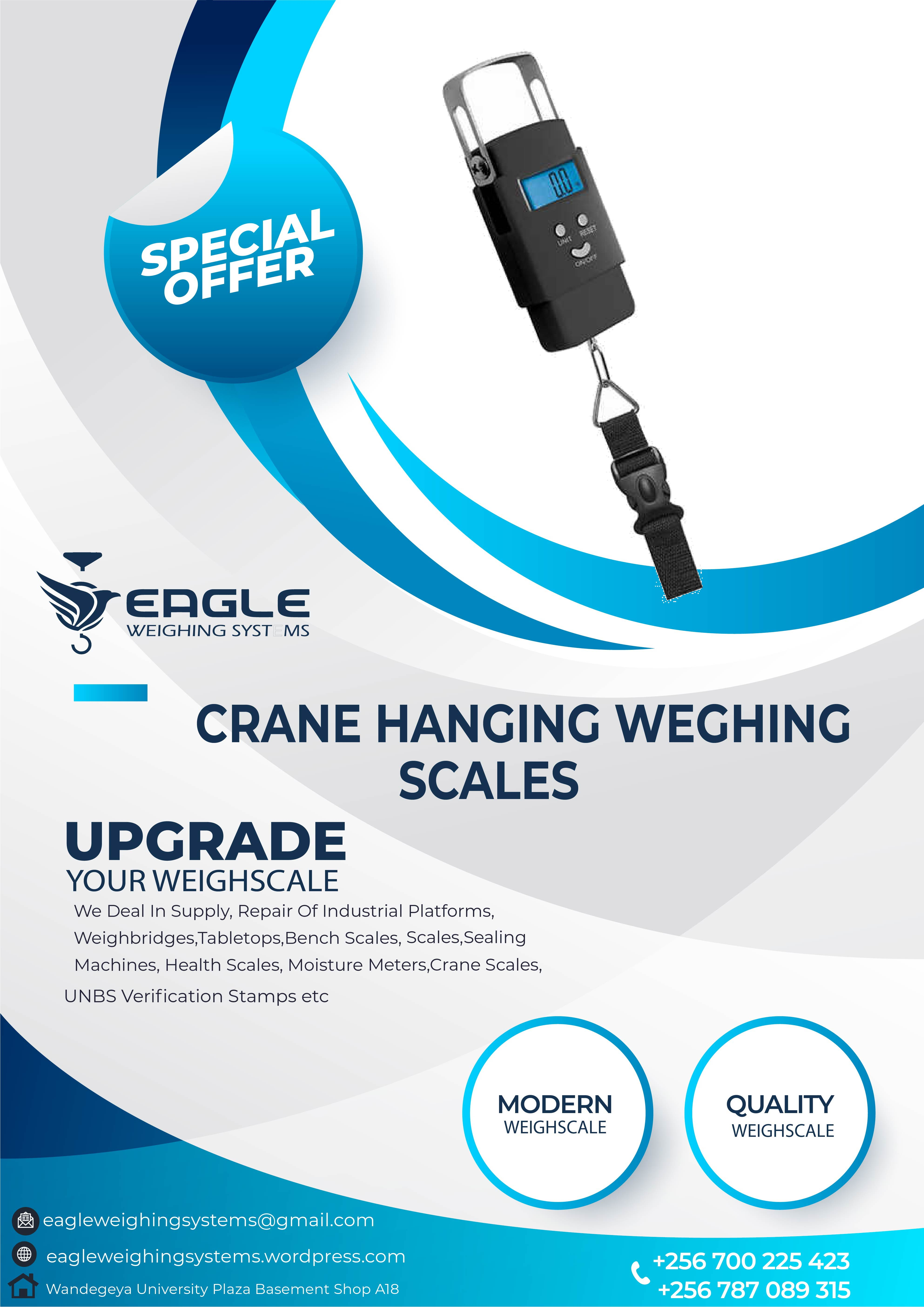 Digital Hanging Scale,50kg Capacity'