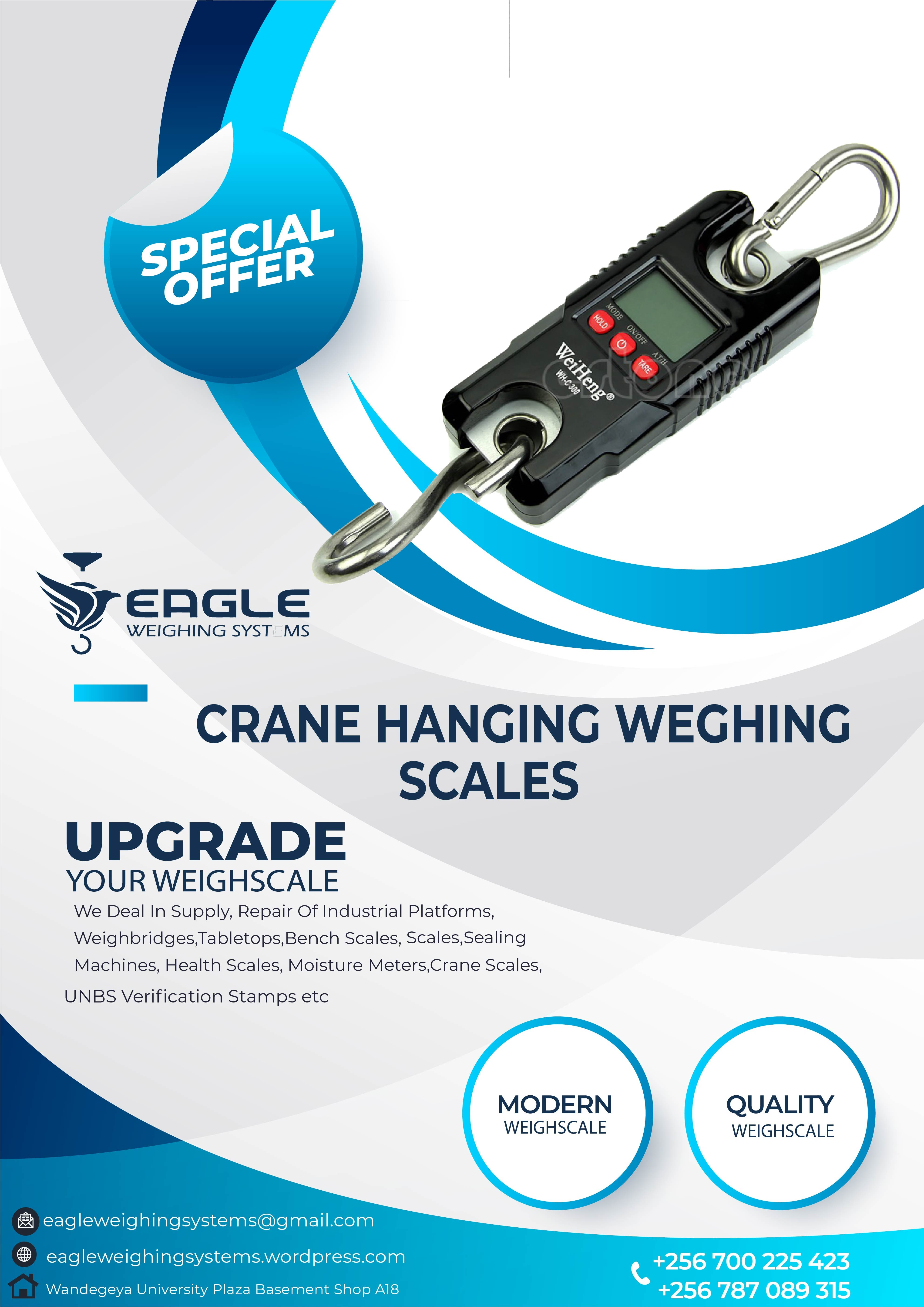 Portable Fish Hanging and Luggage Scales'