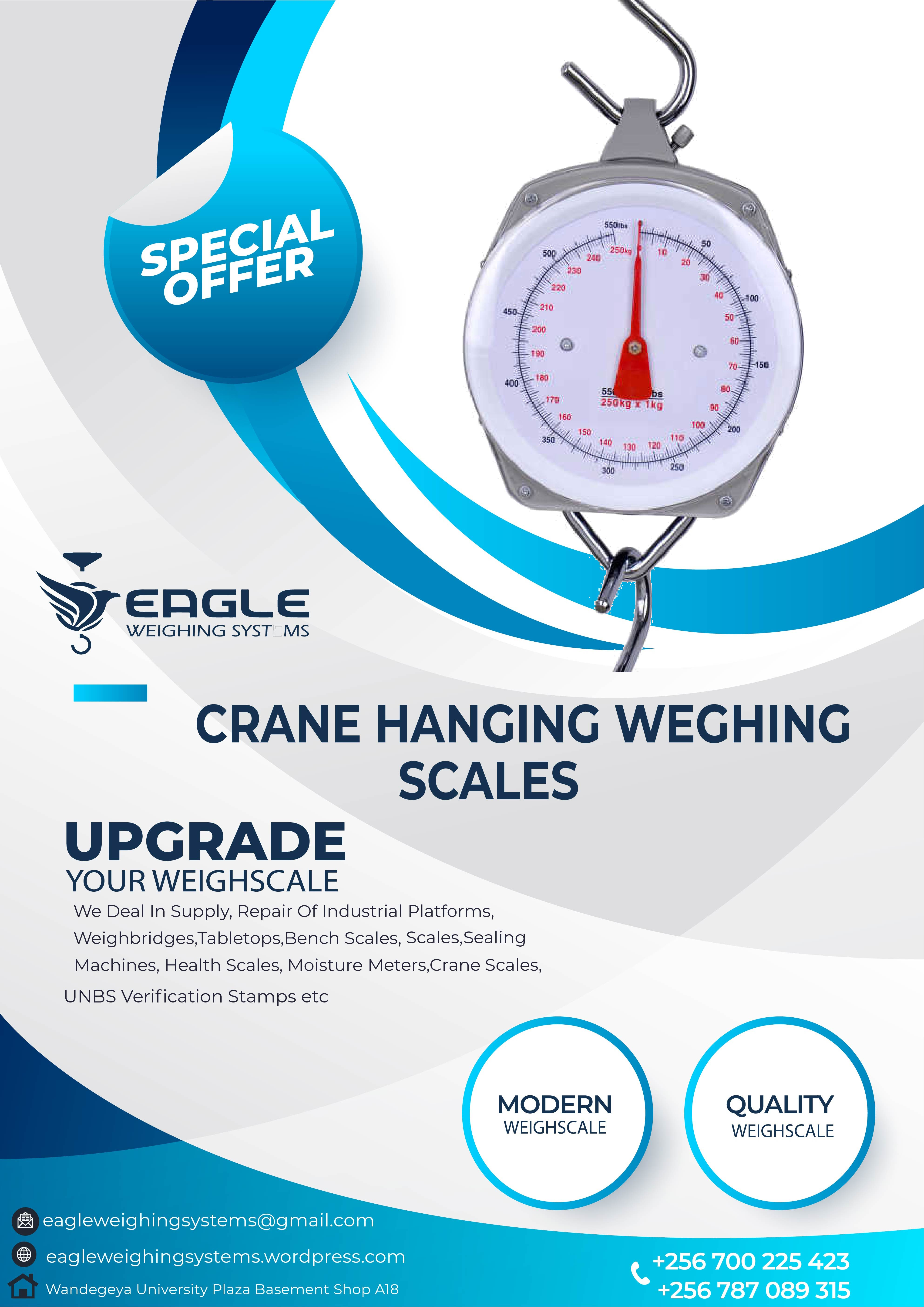 200kg spring hanging scale with high quality'