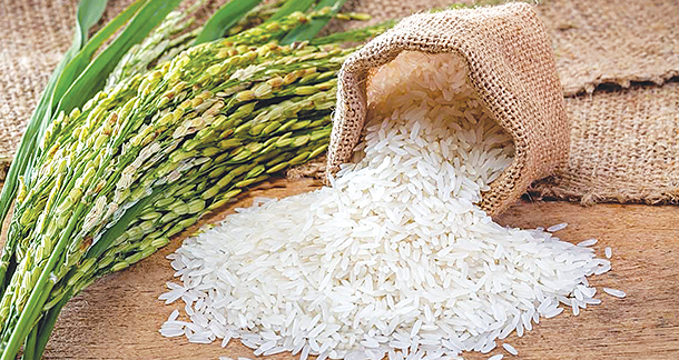 Fortified Rice Market'