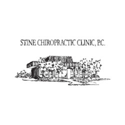 Company Logo For Stine Chiropractic Clinic'