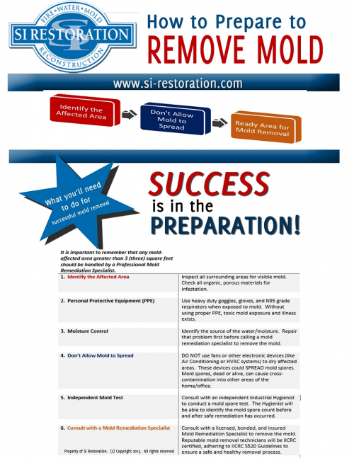How to Prepare to Remove Mold'