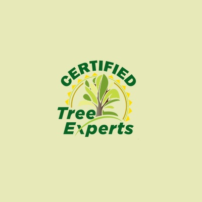 Company Logo For Certified Tree Experts'