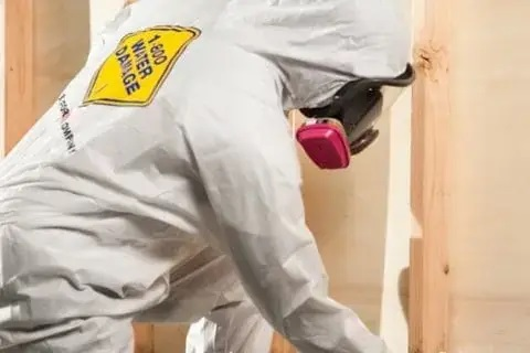 Mold Removal'