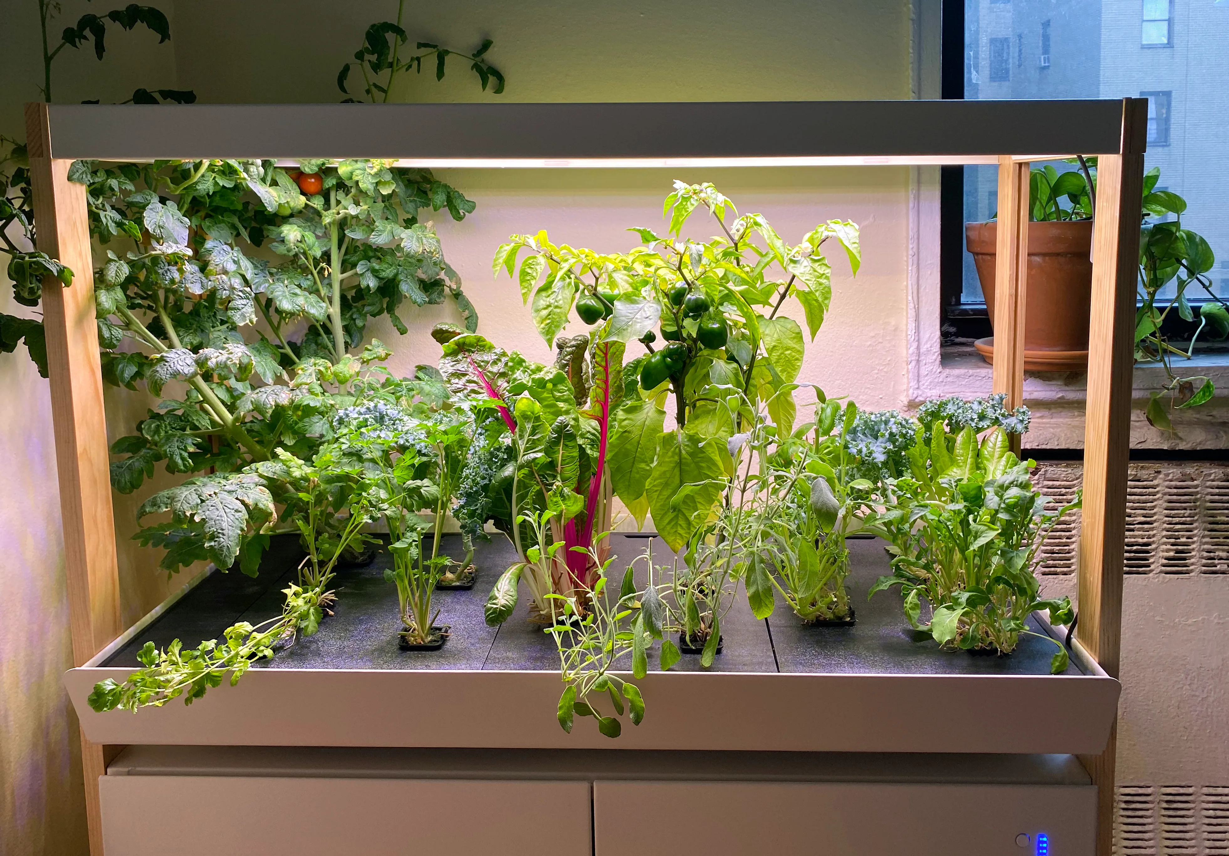 Indoor Smart Hydroponic Garden Market'