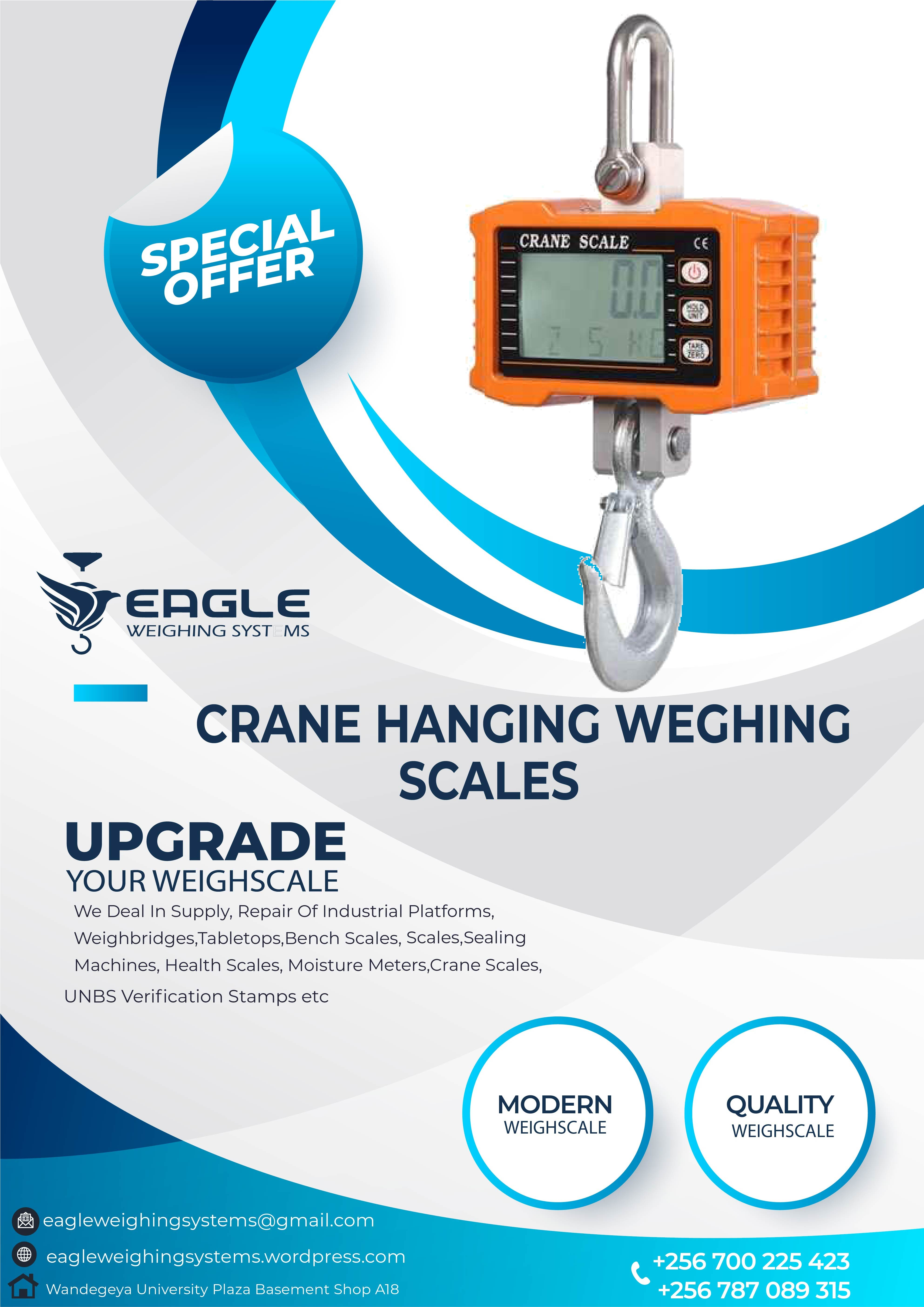 10 ton crane scales'