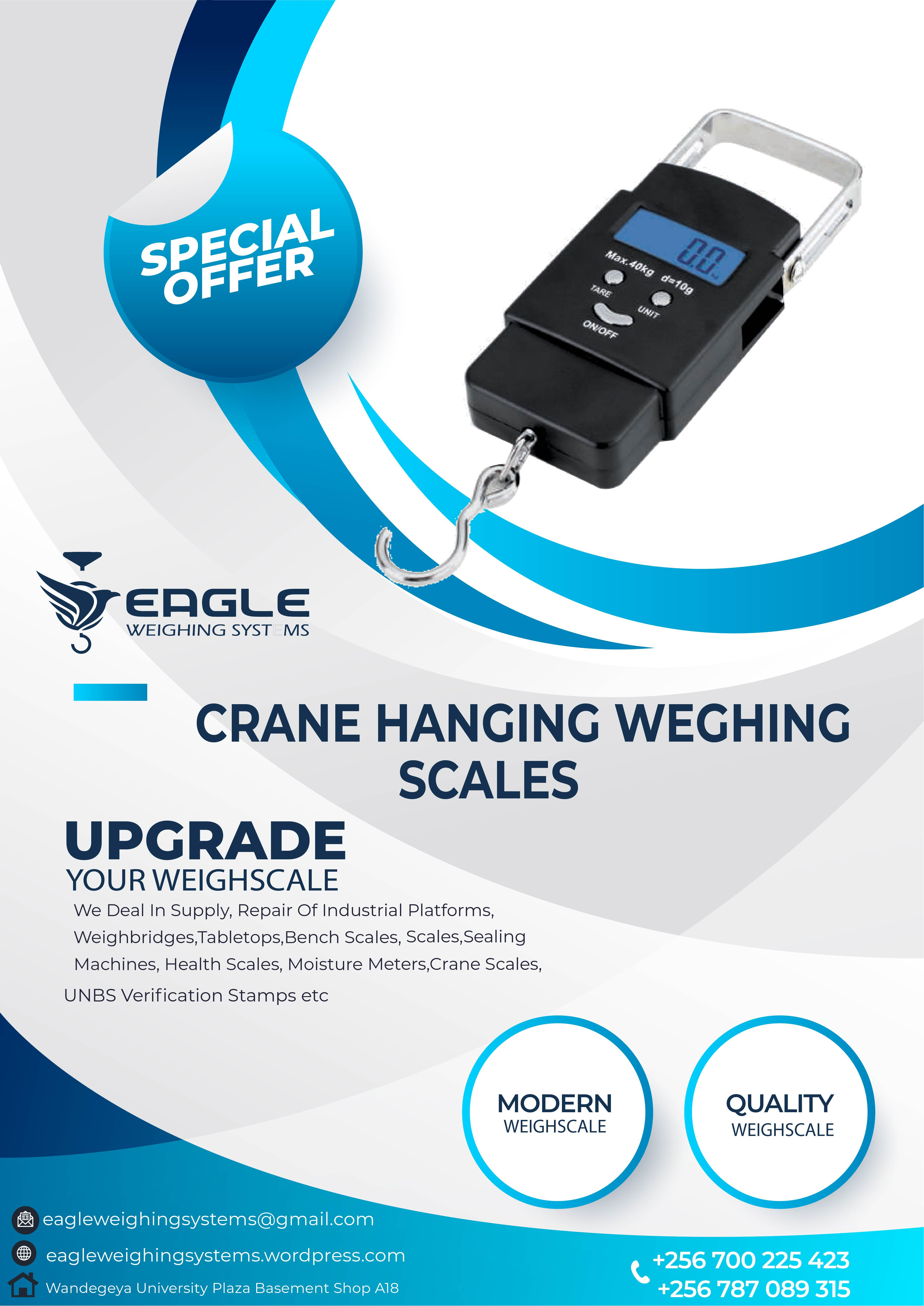 Digital Hanging Scale,50kg Capacity'