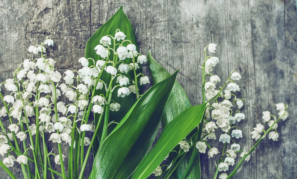 Wedding Flowers'