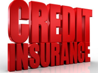 Credit Insurance Market