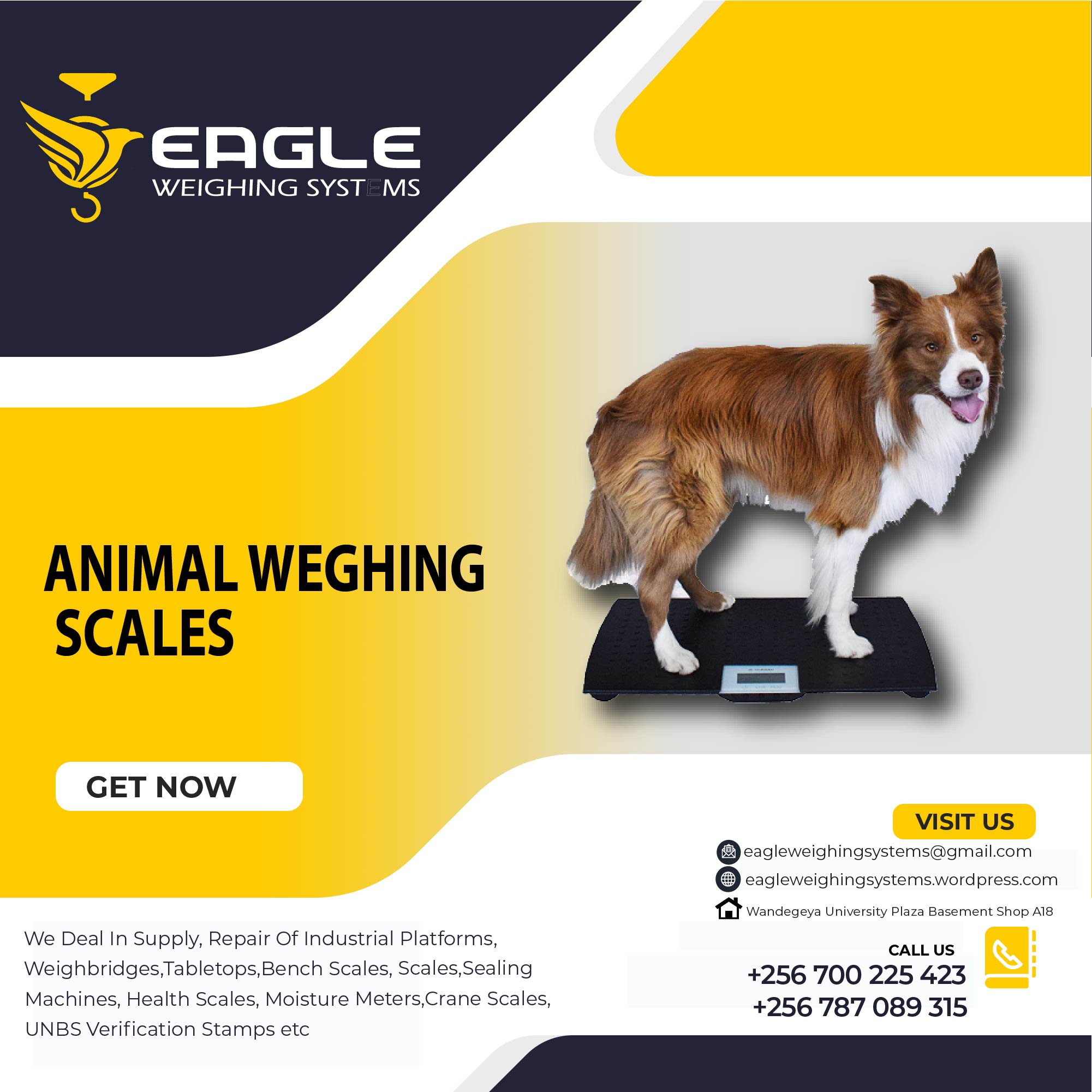 Pet platform wegihng scales'