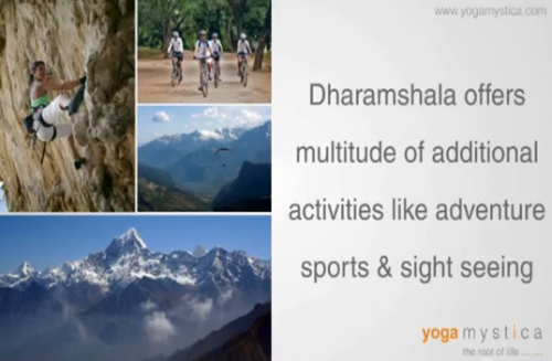 Yoga Teacher Training in Dharamshala'