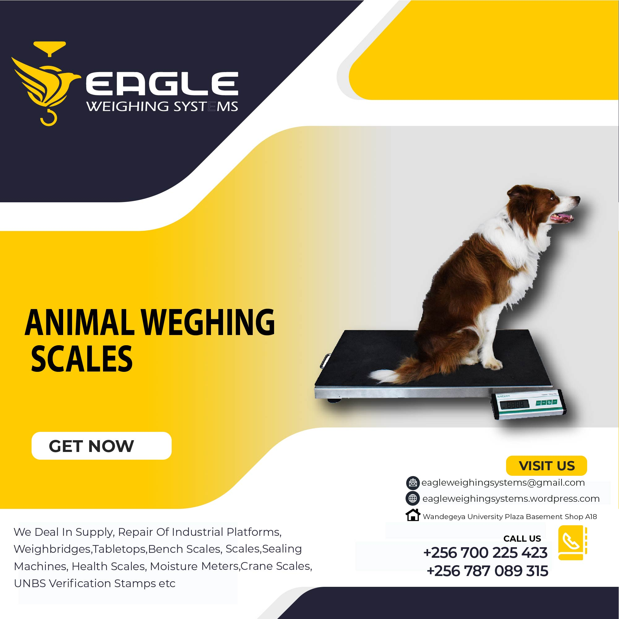 Digital platform animal weighing scales in Kampala Uganda'