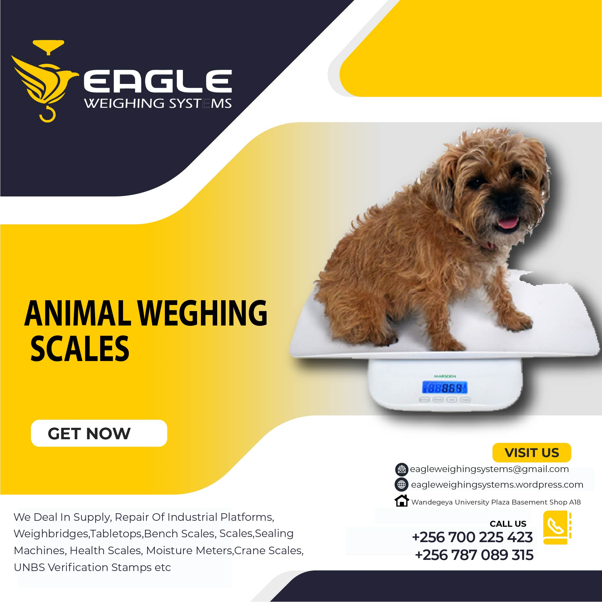 Animal Bench weighing scales in Kampala Uganda'