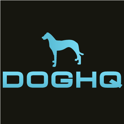 DogHQ'