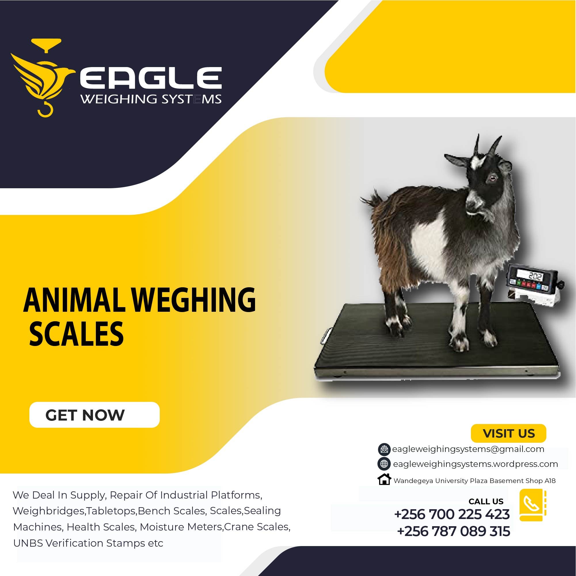 Animal Computing weighing  scales for shops in Uganda'