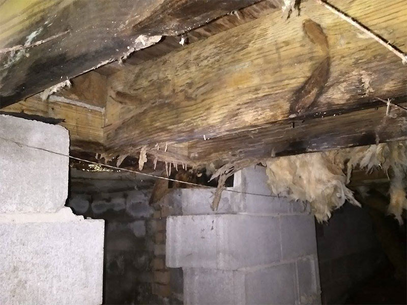 Company Logo For Owensboro Foundation Repair'