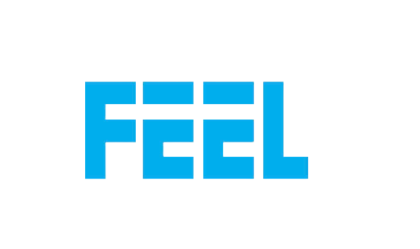 Company Logo For Feel educare Private Limited'