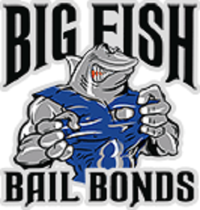 Company Logo For Big Fish Bail Bonds'