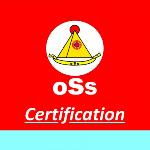 Company Logo For OSS Certification Services Pvt Ltd'
