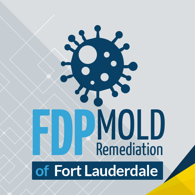 Company Logo For FDP Mold Remediation of Fort Lauderdale'