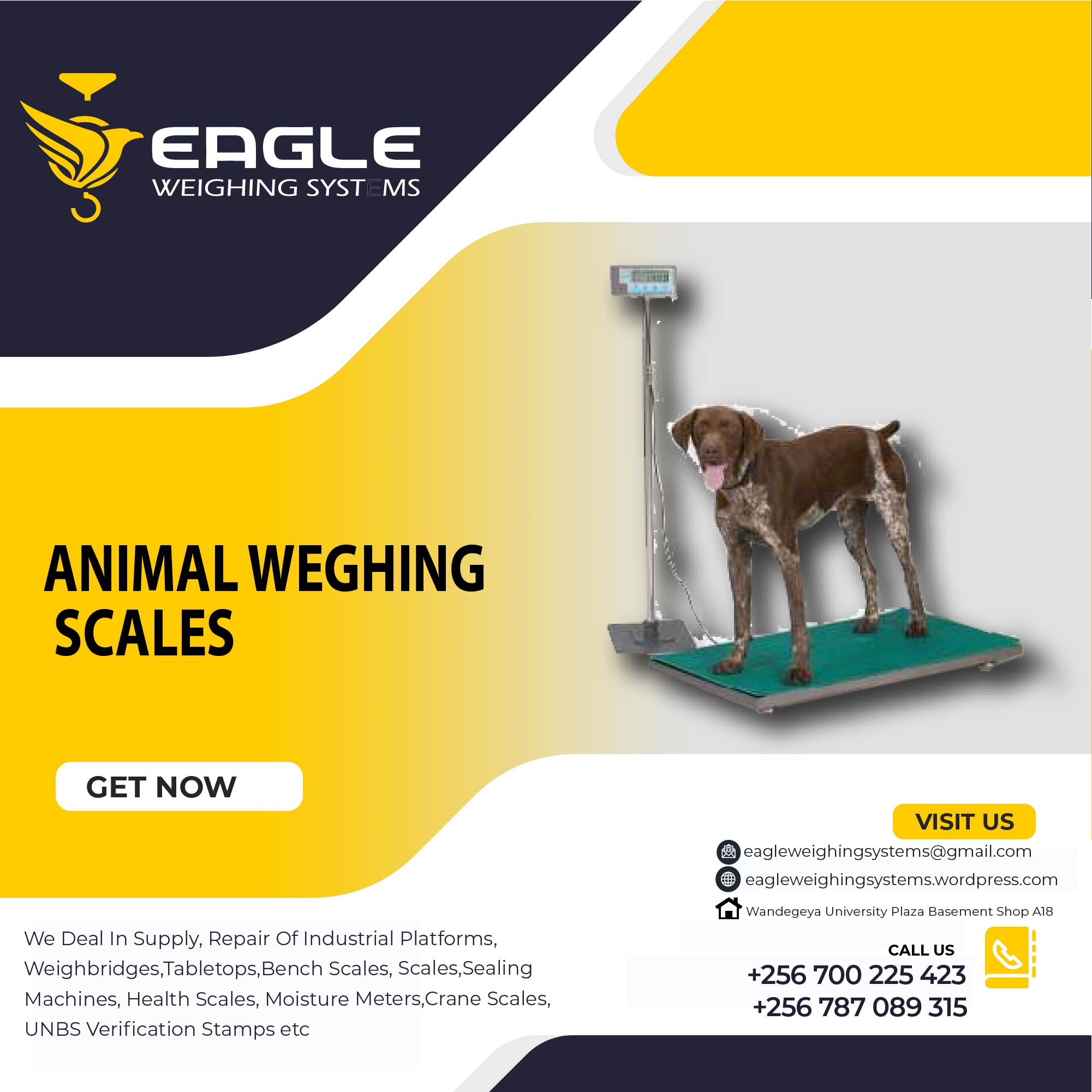 Stainless steel electronic animal weighing scales in Kampala'