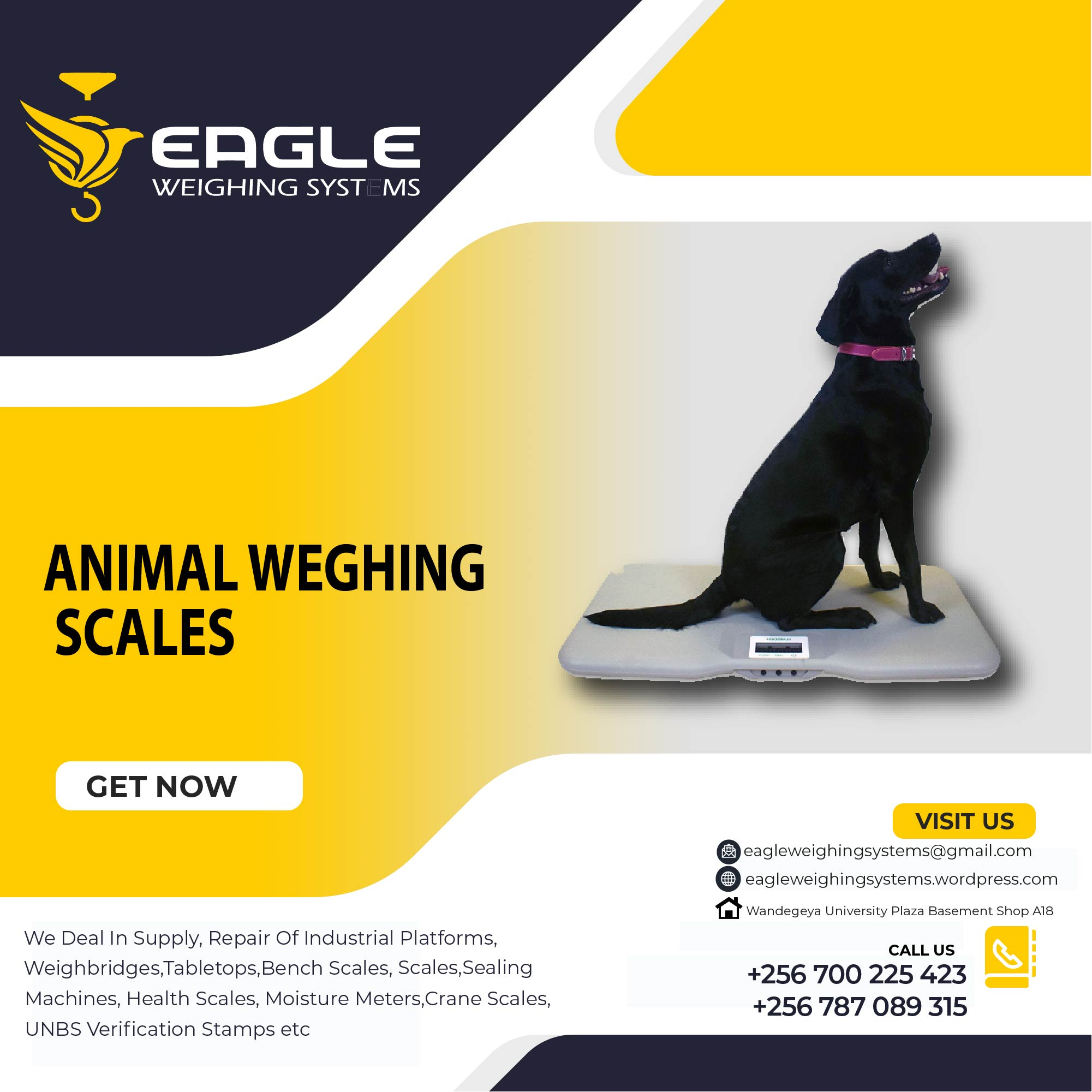 Pet platform animal weighing scales in Kampala Uganda'